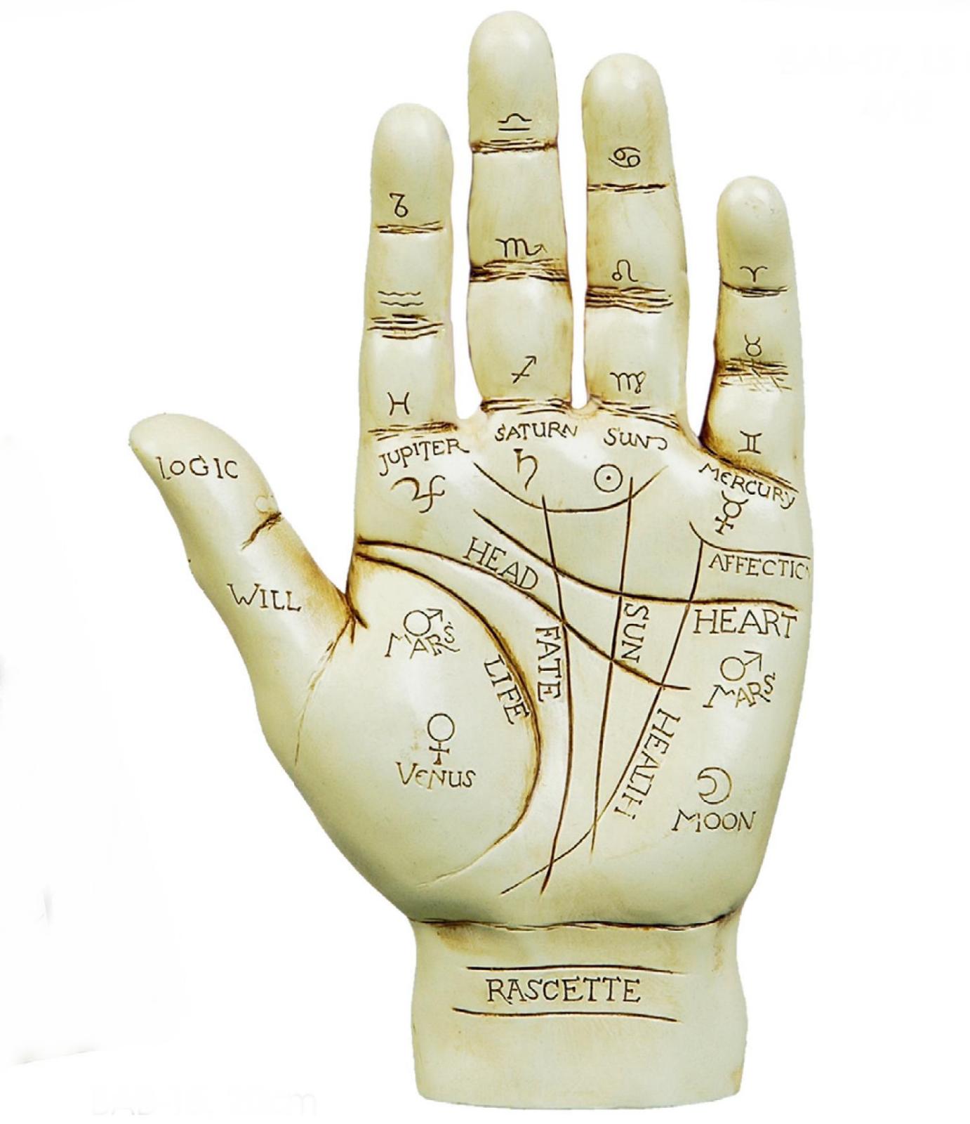 Psychic Angela Tarot Card & Palmistry Reader & Advisor