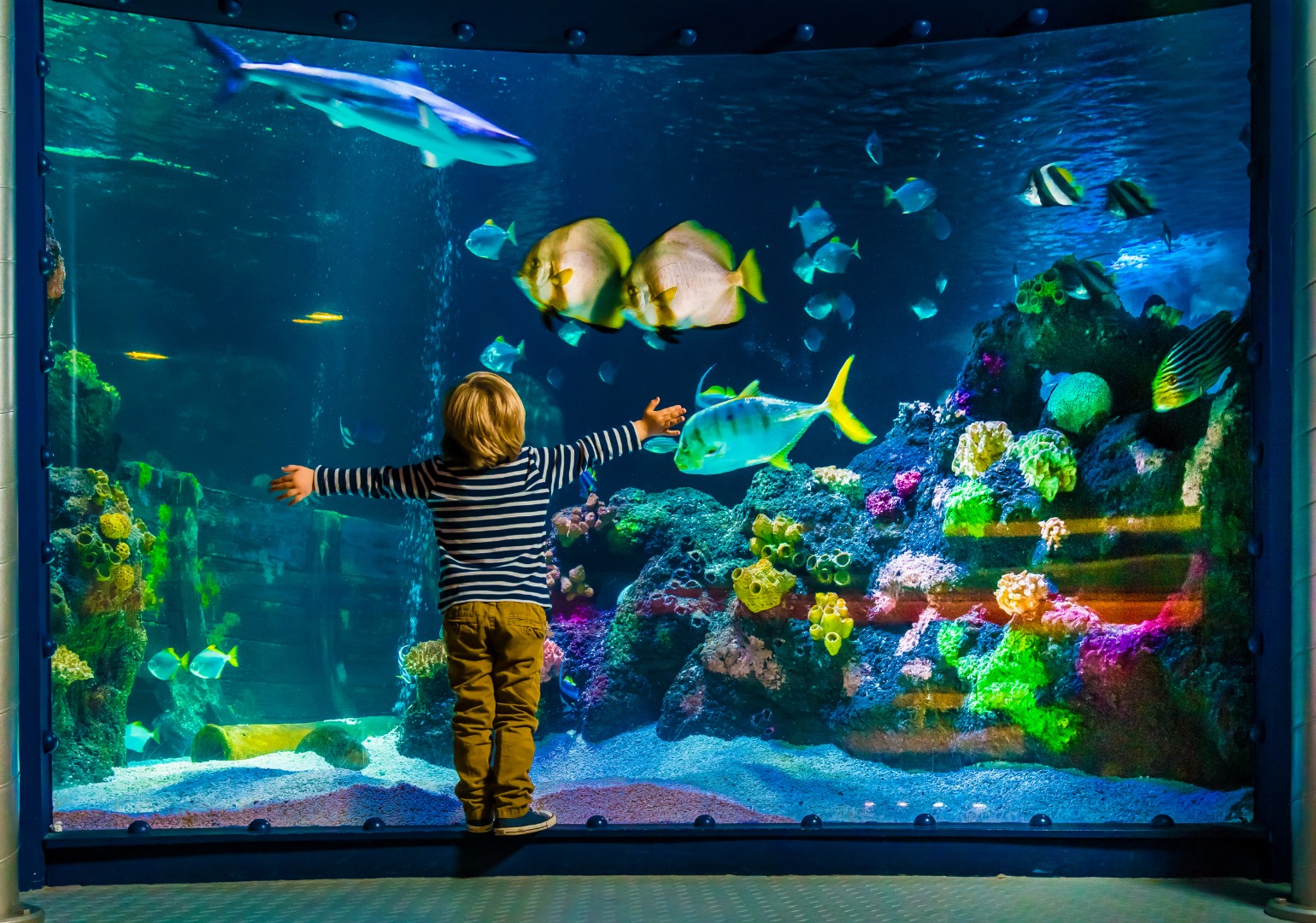 Vancouver Aquarium