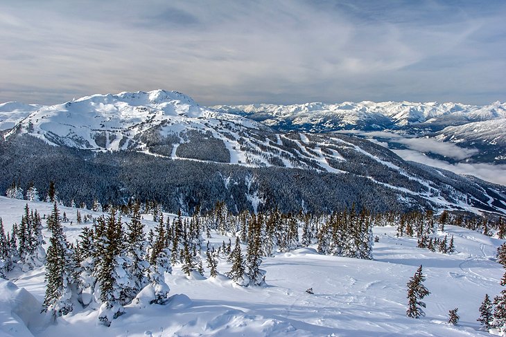 Whistler