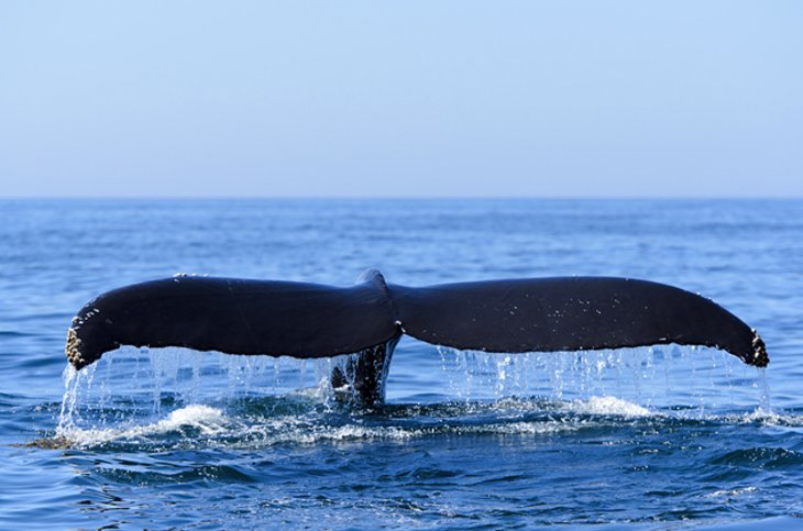Bay of Fundy and Fundy National Park