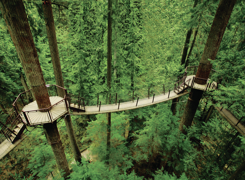 Capilano Suspension Bridge Park Vancouver