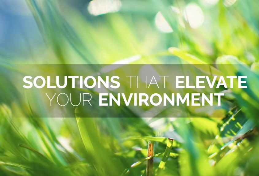 ECO Strategy