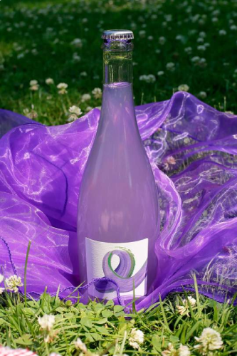Revel cider