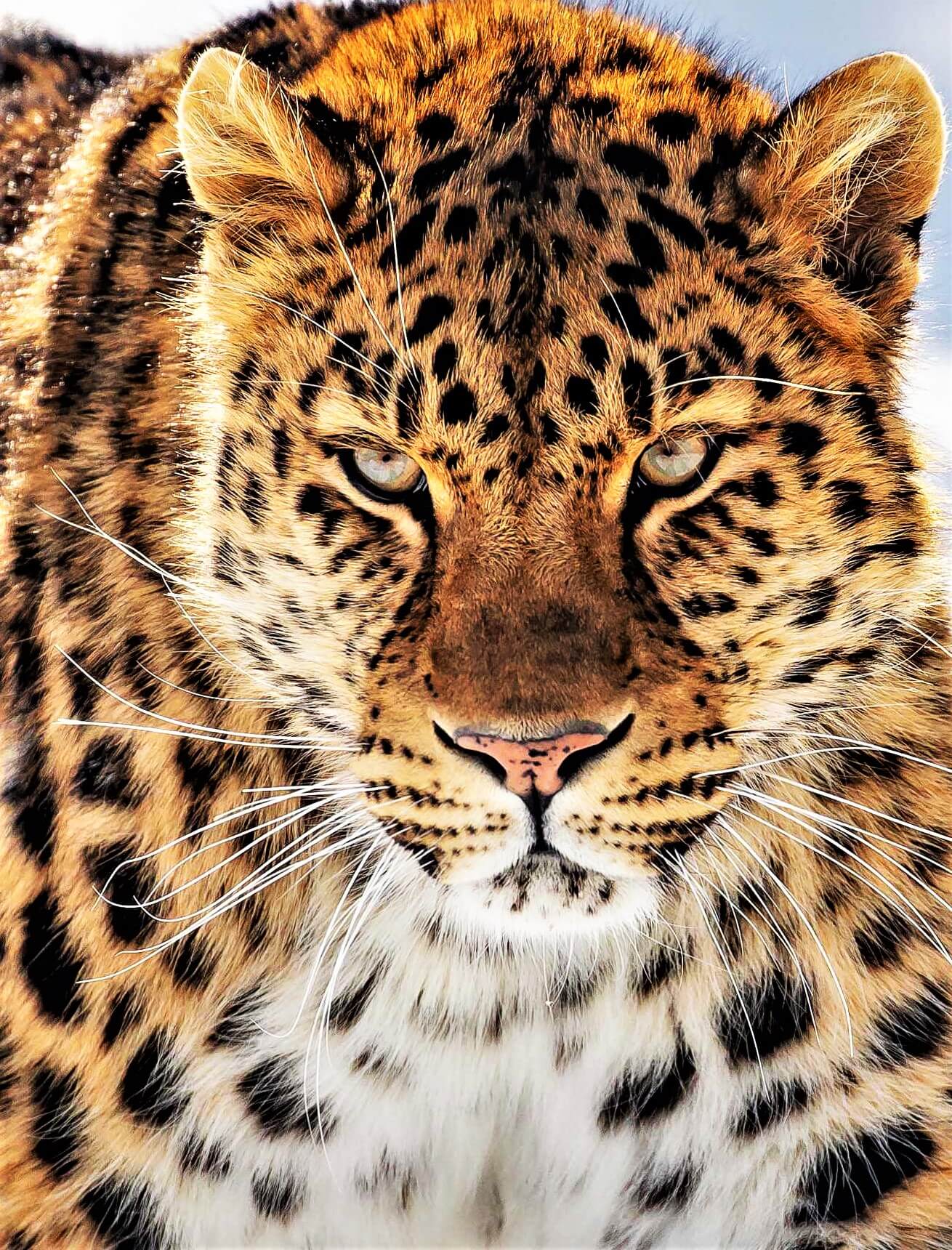 GRANBY  ZOO  top 100 canada tourist