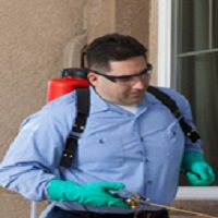 Pest Control In Vancouver