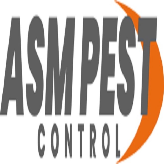 Pest Control in Surrey