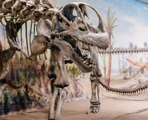 Tyrrell Museum in Drumheller, Alberta